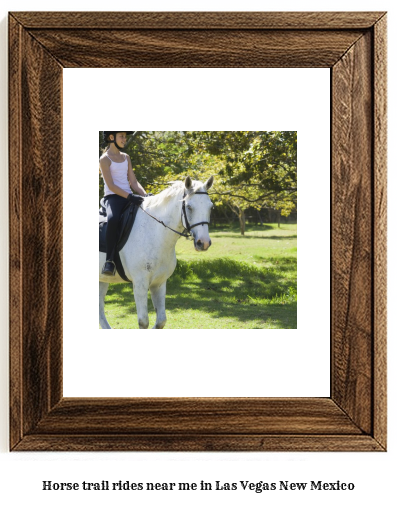 horse trail rides near me in Las Vegas, New Mexico